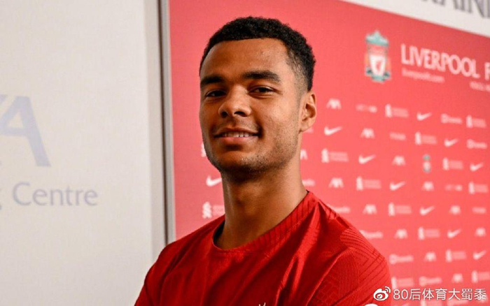 这一新工具 这一新工具