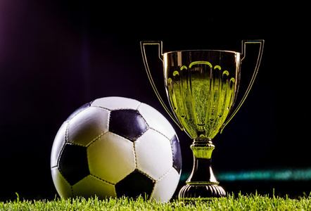 稳定军心的 稳定军心的